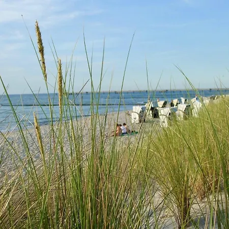 Discovair Mueritz- Johanna- Strandnah Mit Netflix